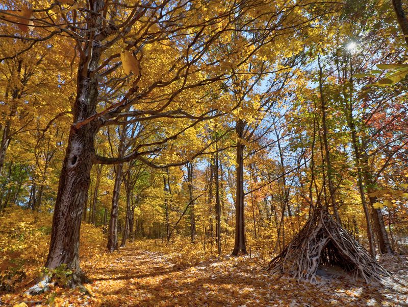 Celery Bog Nature Area