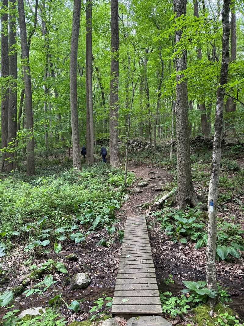 10 Hidden Connecticut State Parks Most Visitors Completely Miss - Decor Hint Seth Low Pierrepont State Park Reserve, Ridgefield