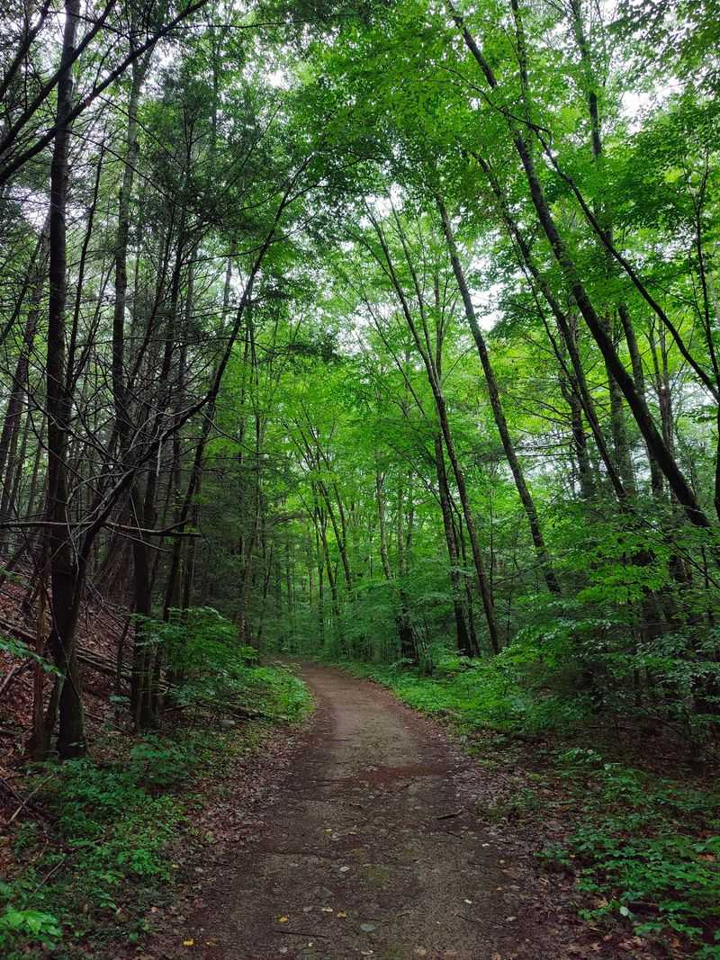 George C. Waldo State Park, Southbury