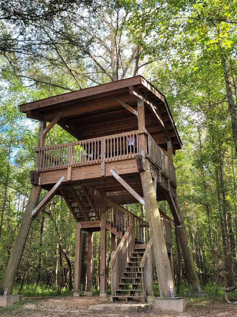 This Georgia Park By The River Is A Beautiful Place To Spend A Fall Day - Decor Hint Climb The Observation Tower For A Treetop View