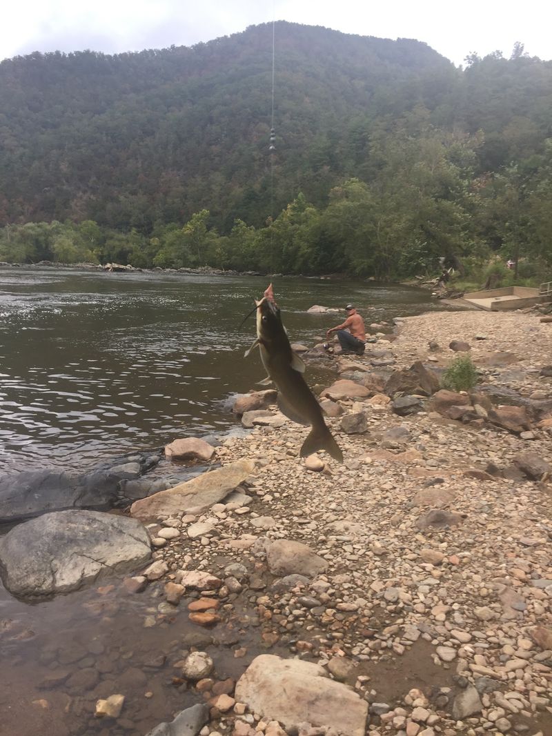 North Carolina Has A Hidden Mountain Town That Locals Try To Keep To Themselves Every Fall - Decor Hint Cane Creek Gives Anglers A Mountain Trout Stream Right Through Town