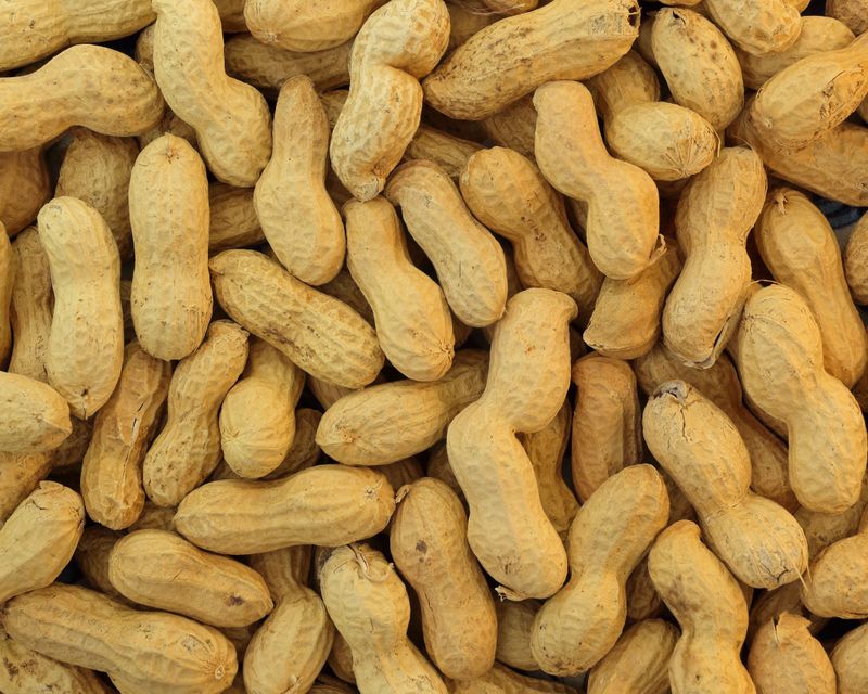 Green Peanuts, Hours of Simmering