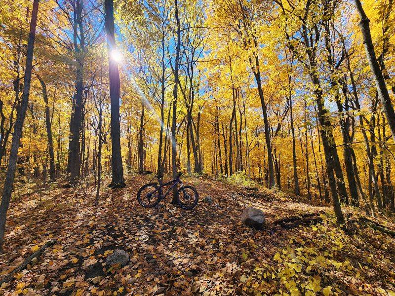 Kettle Moraine State Forest Northern Unit, Campbellsport