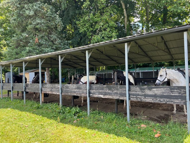 Jordan Hollow Stables, Stanley