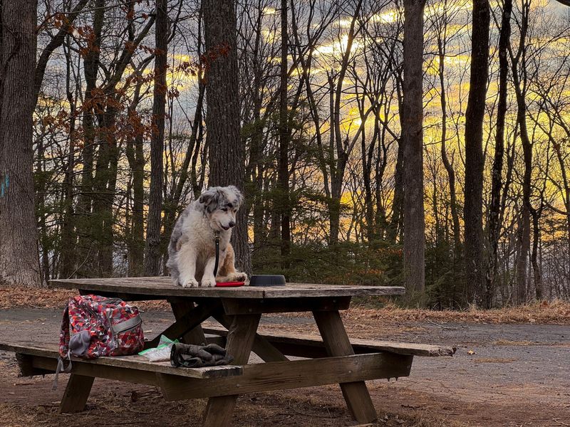 This Nearly 800-Acre Connecticut State Park Feels Almost Completely Forgotten - Decor Hint Grab The Picnic Shelter Before Someone Else Does