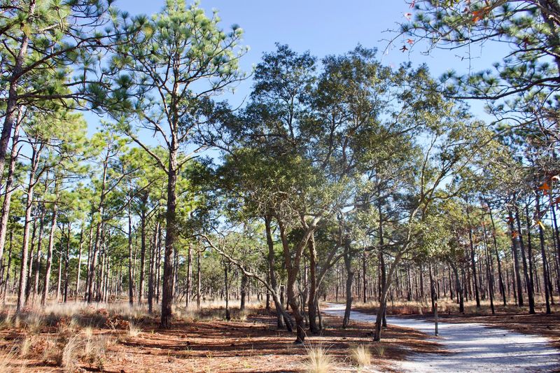 Sugarloaf Trail, Carolina Beach