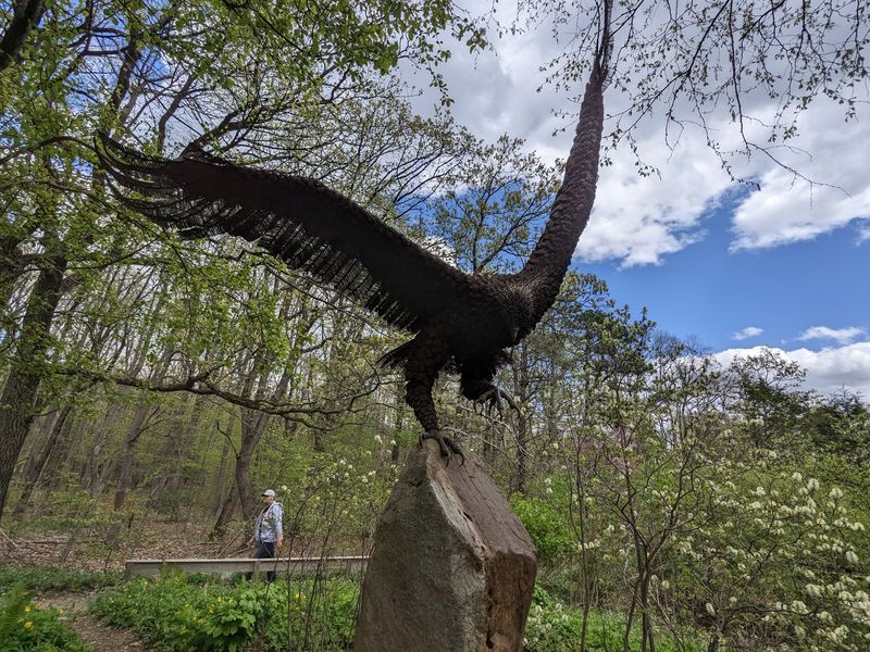 Every October, Thousands Of Hawks Stream Past This Pennsylvania Mountaintop Lookout - Decor Hint Life-Sized Raptors Wait Inside The Visitor Center