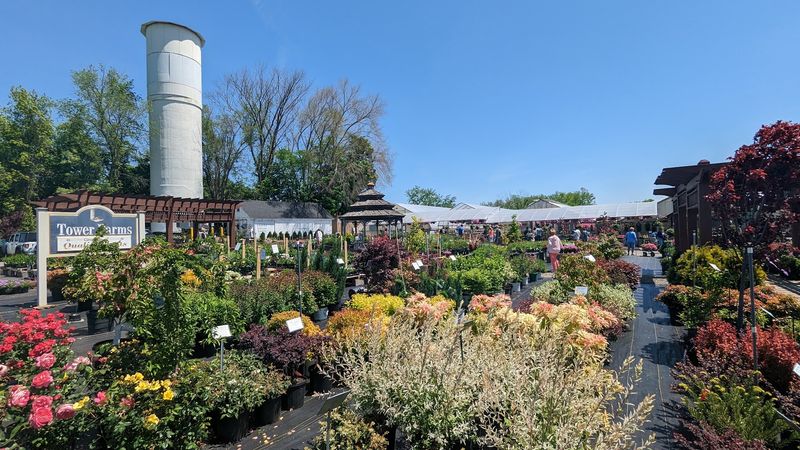 10 Connecticut Towns Where The Population Is Growing Faster Than You Might Expect - Decor Hint Cheshire