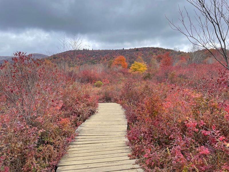 Why 1.3 Miles Is Plenty For One Seriously Beautiful Fall Adventure