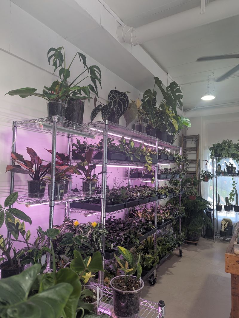 Great Plains Botanical House