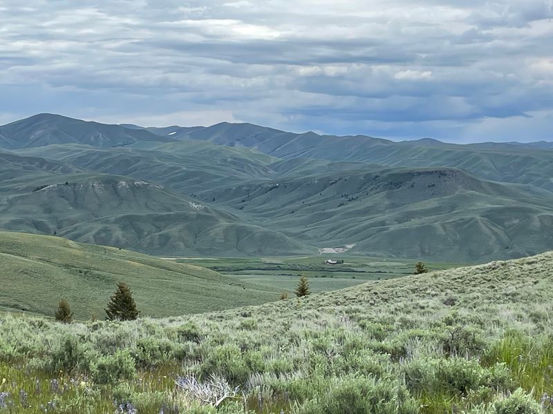 This Idaho Ranch Pairs A Fast Ride Herding About 40 Horses With A Homemade Treat Waiting Afterward - Decor Hint Scenery That Shifts From Meadow To Canyon