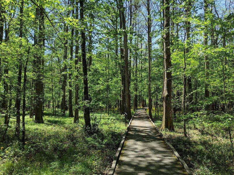 Chicot State Park, Ville Platte