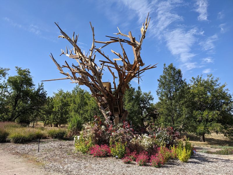 Native Plants That Know How To Handle Idaho Summers