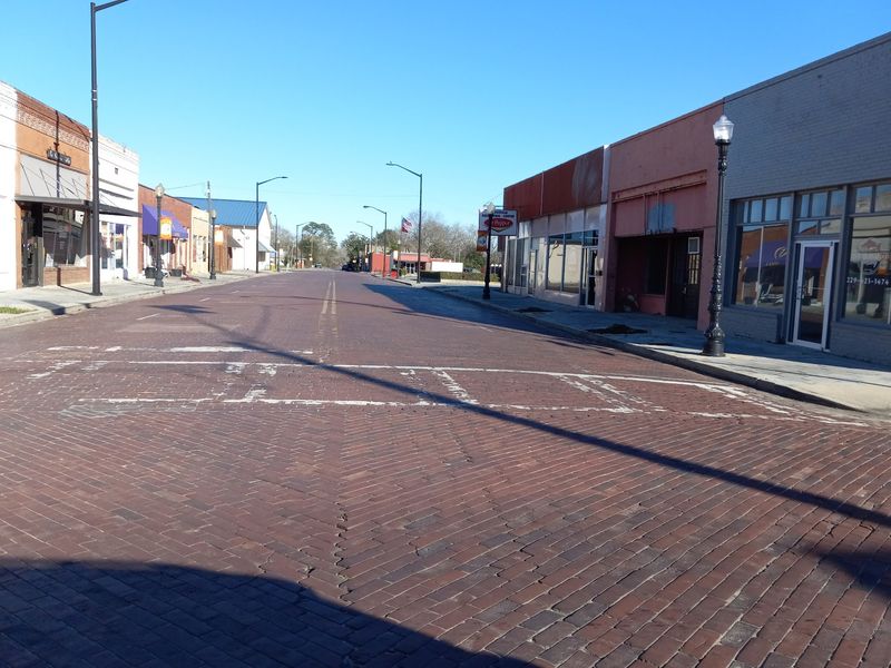 This Quirky Georgia Town Has Hundreds Of Wild Chickens Roaming Its Downtown Streets - Decor Hint Meet The Great Ancestor Of Every Chicken