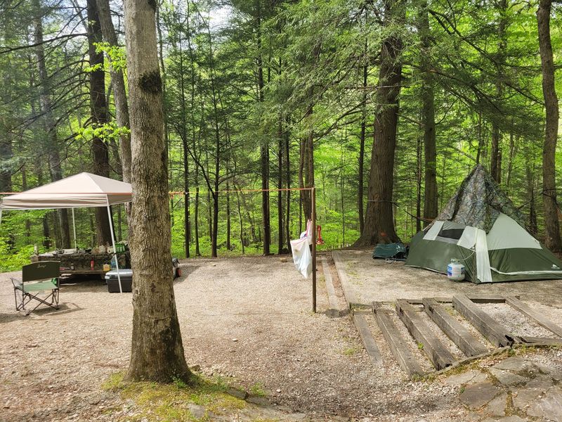 Turkey Foot Campground
