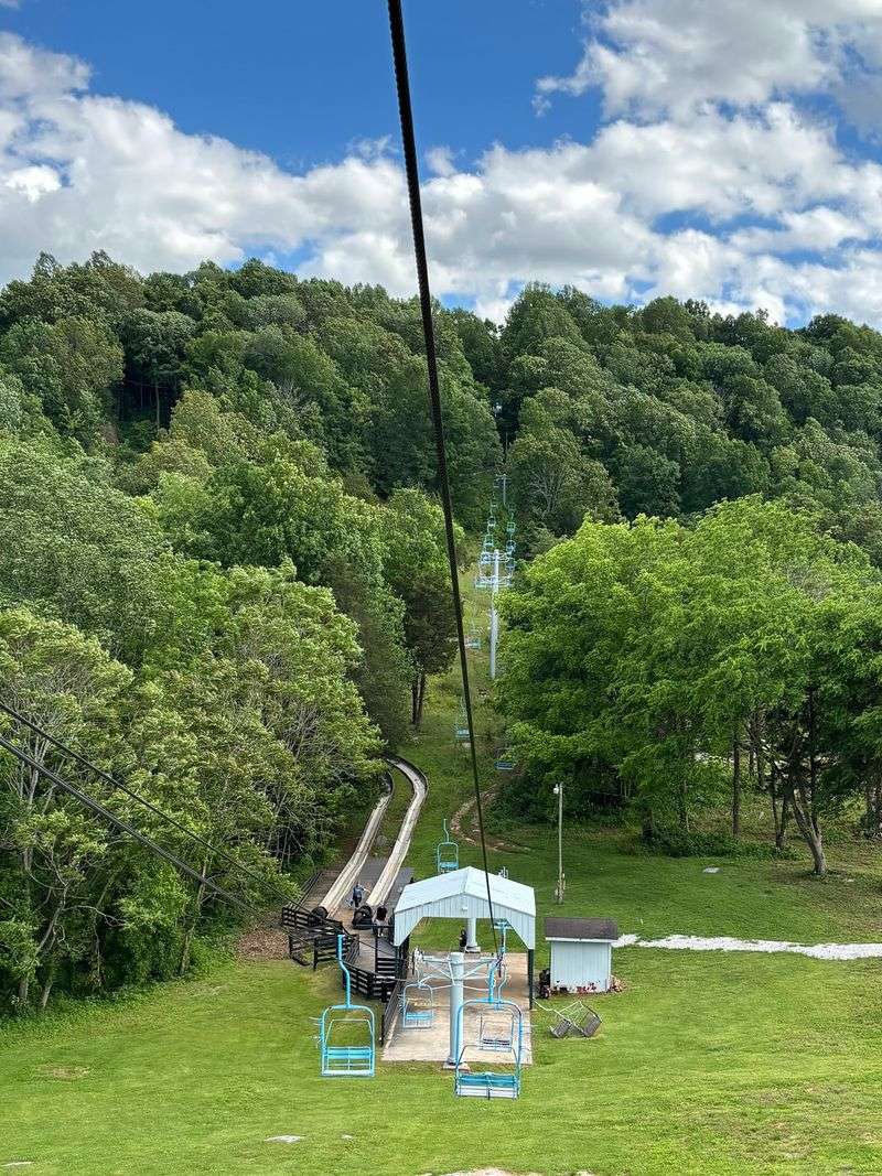 Fly Side By Side On Twin Ziplines