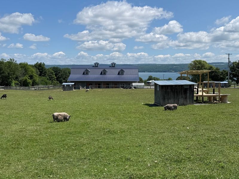 Sweet Farm, Himrod