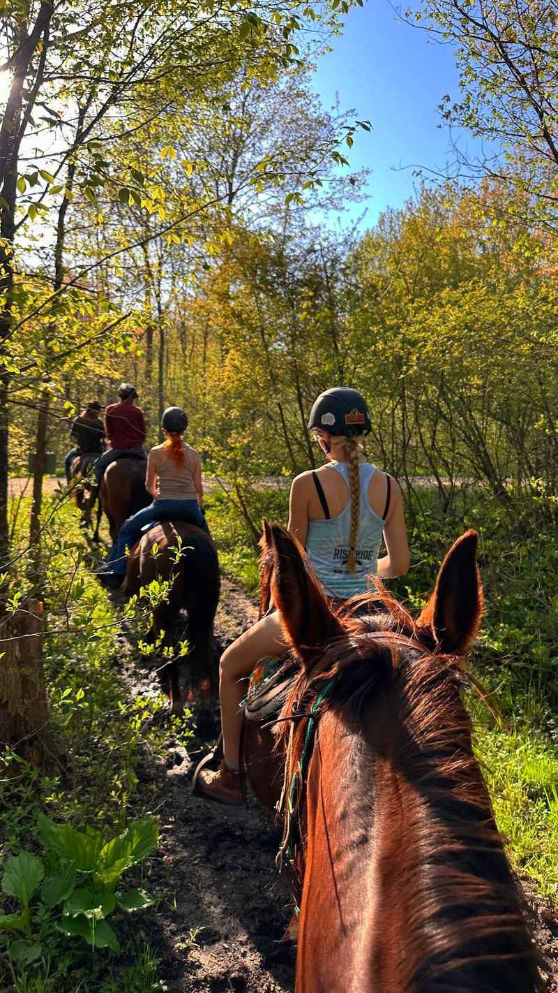 Sunny Rides And Seasonal Fun