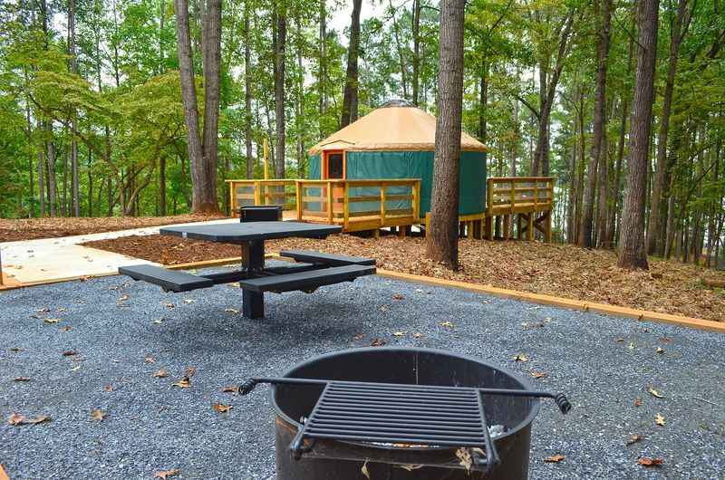 Lake Hartwell Views From A Wooded Peninsula