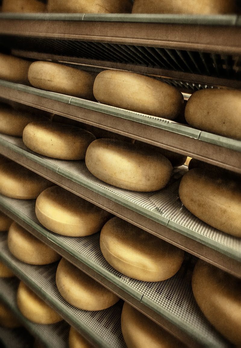 This North Carolina Goat Dairy Produces Some Of The Creamiest Goat Cheese In The State - Decor Hint Providence Turns Goat Milk Into A Firm Aged Cheese Built For Grating