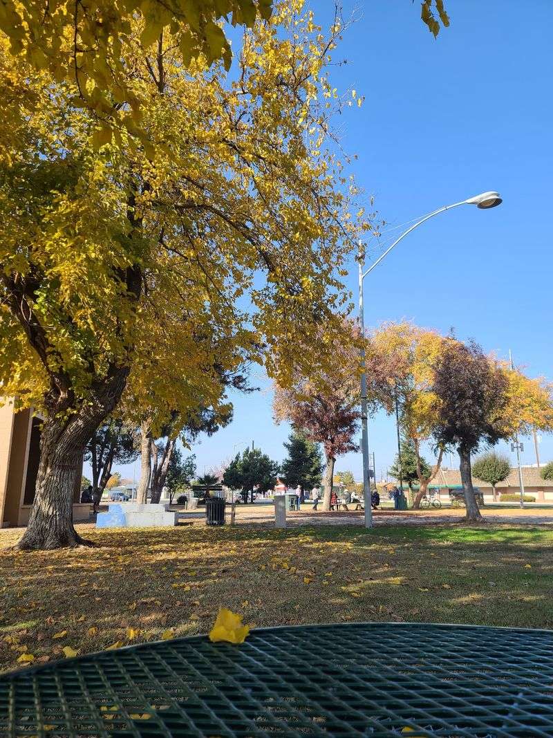 Orange Cove: Citrus Groves And Foothill Views