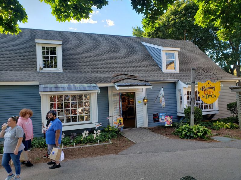 Cat And Dog Lovers Will Feel Right At Home In This Connecticut Gift Shop Filled With Adorable Finds - Decor Hint Plan A Whole Afternoon Around This Charming Village