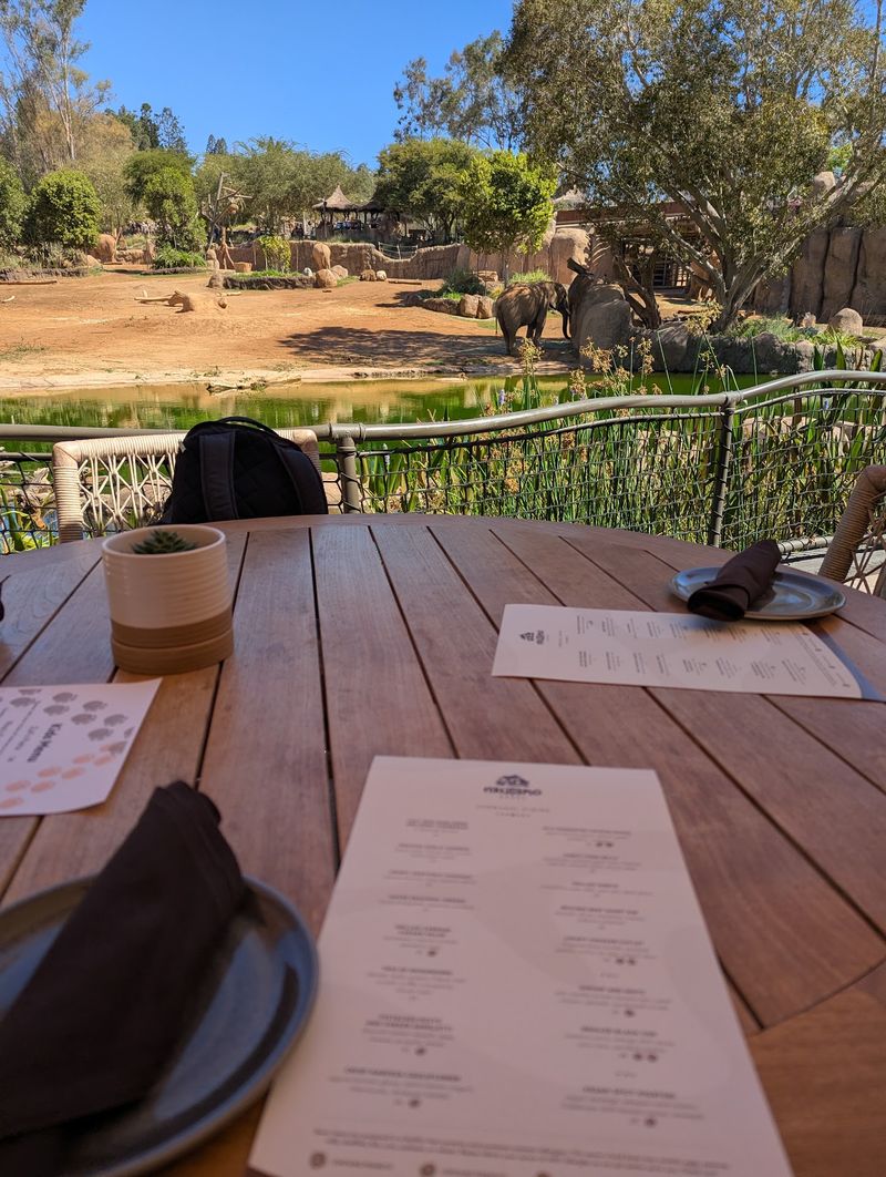 This California Restaurant Lets You Eat Just Steps Away From Elephants At The San Diego Zoo Safari Park - Decor Hint Head Upstairs For The Lounge With The Best Seat In The Valley