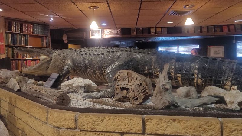 Books, Taxidermy, And One Very Large Gator