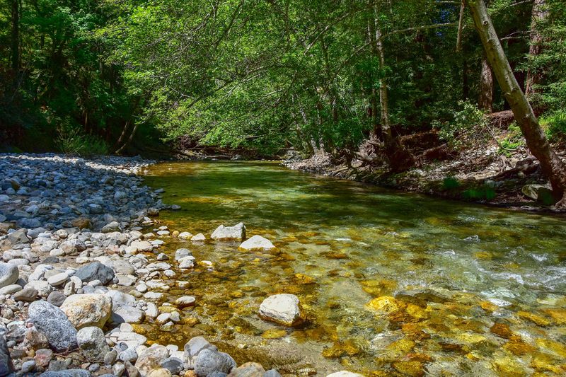 Let The Big Sur River Set Your Pace