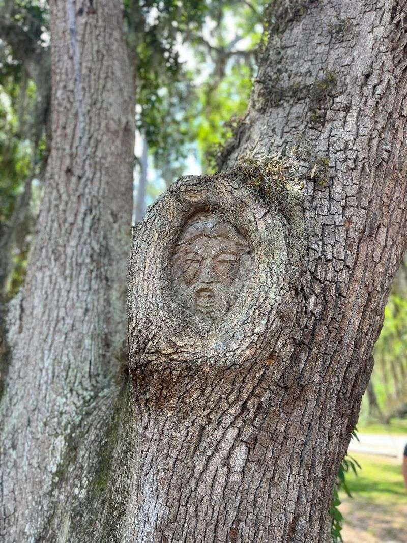 Grab A Map And Go Hunting For Tree Spirits