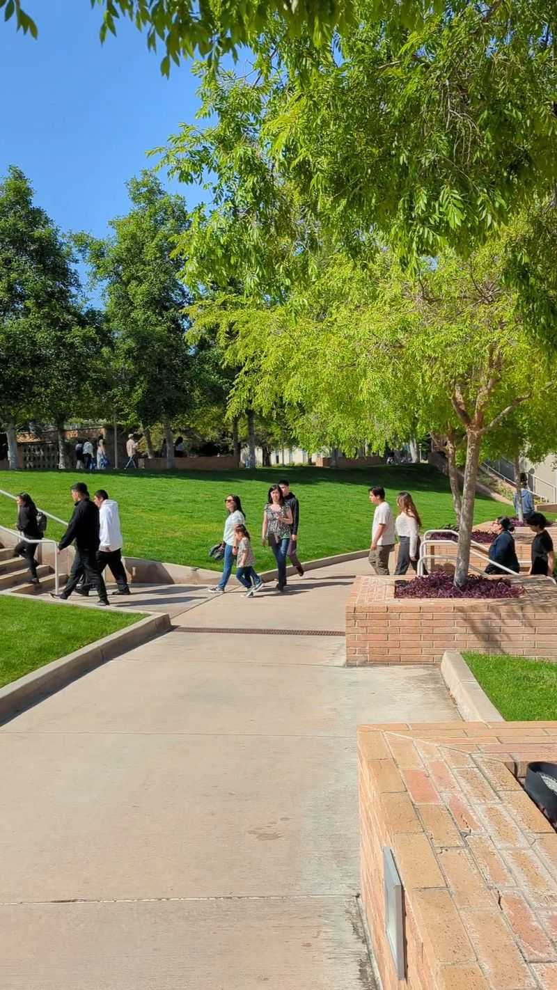 This California University Just Ranked No. 1 In America For Helping Students Succeed - Decor Hint Highlander Pride Literally Sits On A Mountain