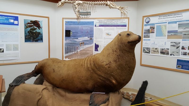 Stretch The Fun Across A Whole Week Of Ocean Events