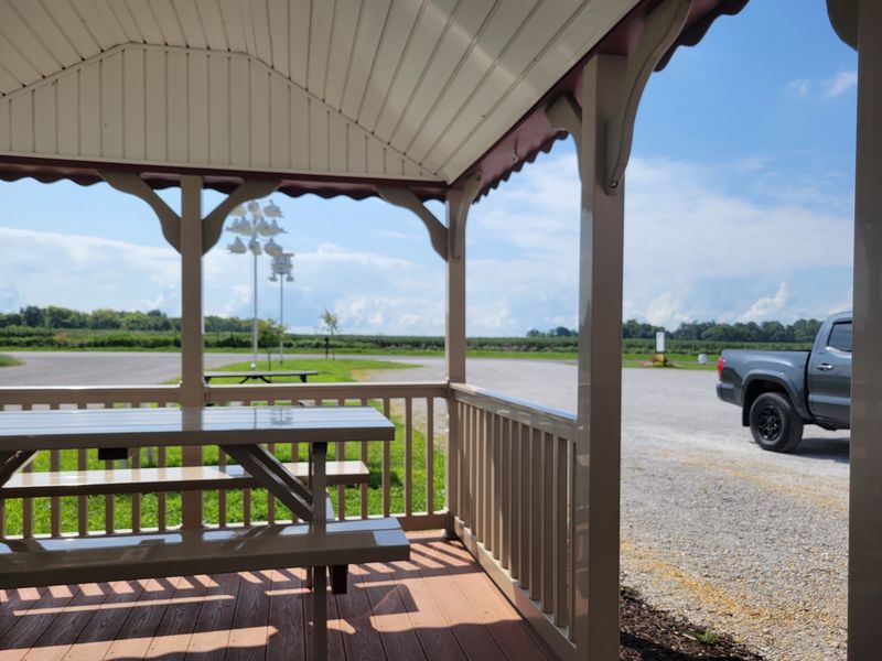 Picnic Tables And Pasture Views