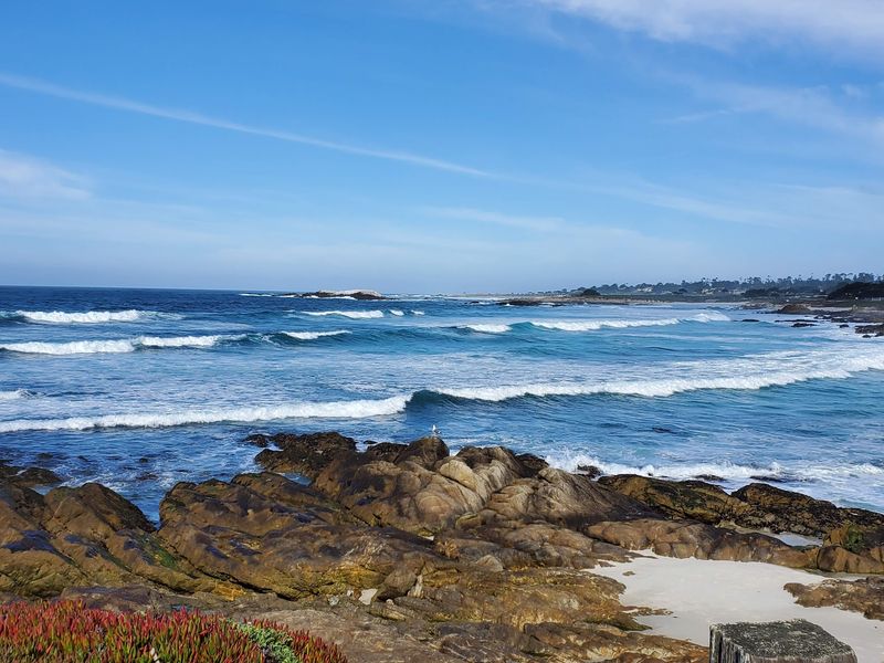 This Historic 17-Mile California Scenic Drive Still Offers Some Of The Most Breathtaking Coastal Views - Decor Hint The Restless Sea At Point Joe Lives Up To Its Nickname