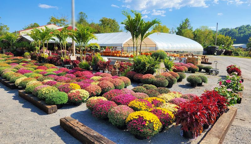 Plan Your Drive, Or Let The Farm Meet You Halfway