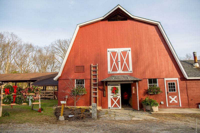 This Connecticut Creamery Makes Cheese The Old-Fashioned Way And The Results Are Worth Seeking Out - Decor Hint Plan Your Stop Around Mystic Or A Country Drive