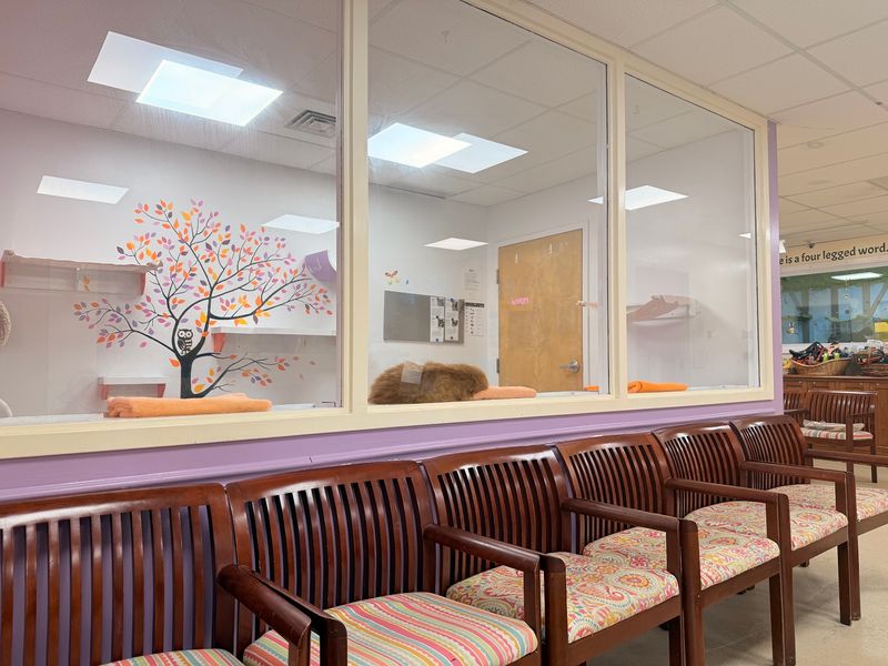 This Connecticut Animal Shelter Gives Abandoned And Senior Dogs A Second Chance At A Loving Home - Decor Hint Why The Application Comes Before The Cuddles