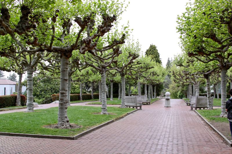 Berkeley Graduates Have Founded Thousands Of Startups