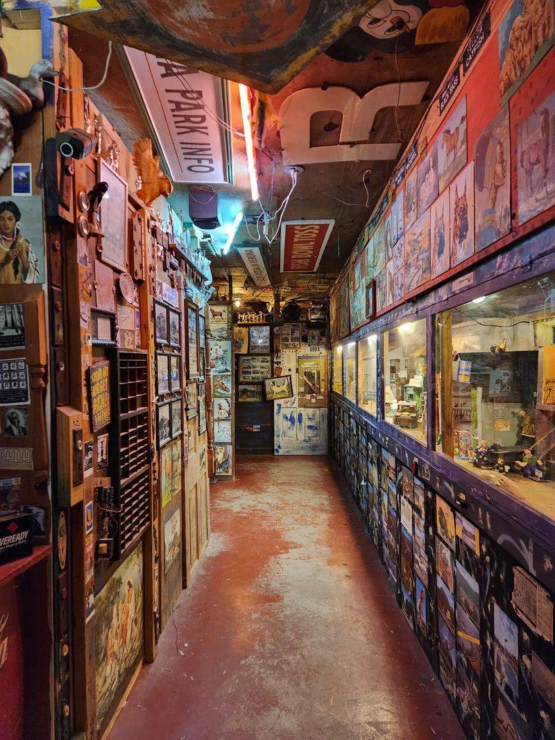 Over 50,000 Rescued Treasures
