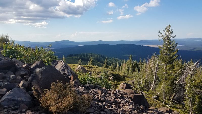 13 California Counties Where Deer Are On The Move During Fall Mating Season - Decor Hint Lassen County: Where The Sierra Meets The Great Basin