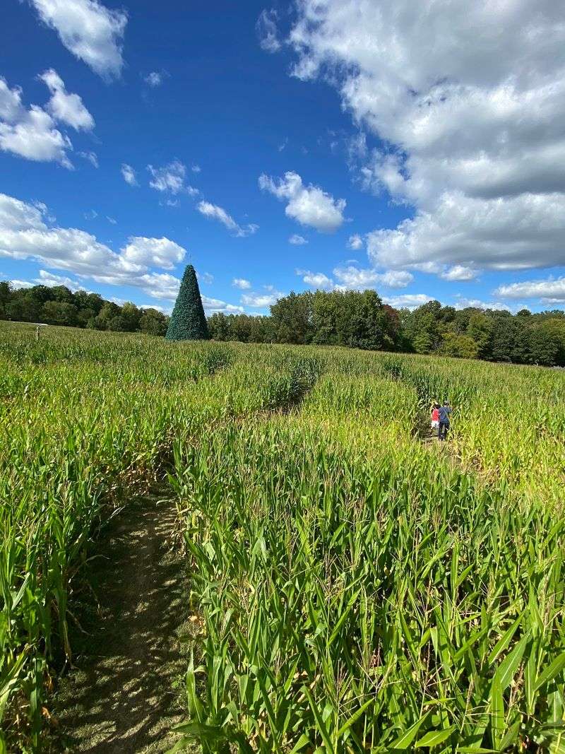 Kersey Valley Maize Adventure