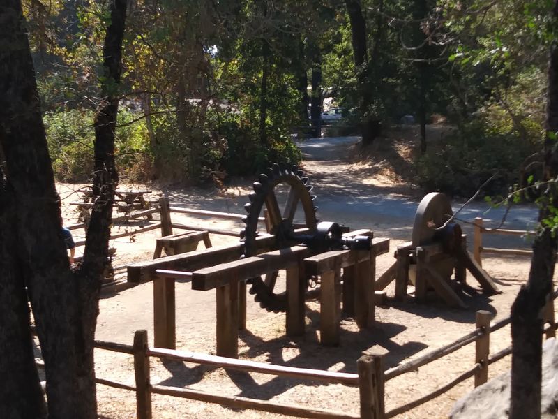 A State Park Helped Save It All
