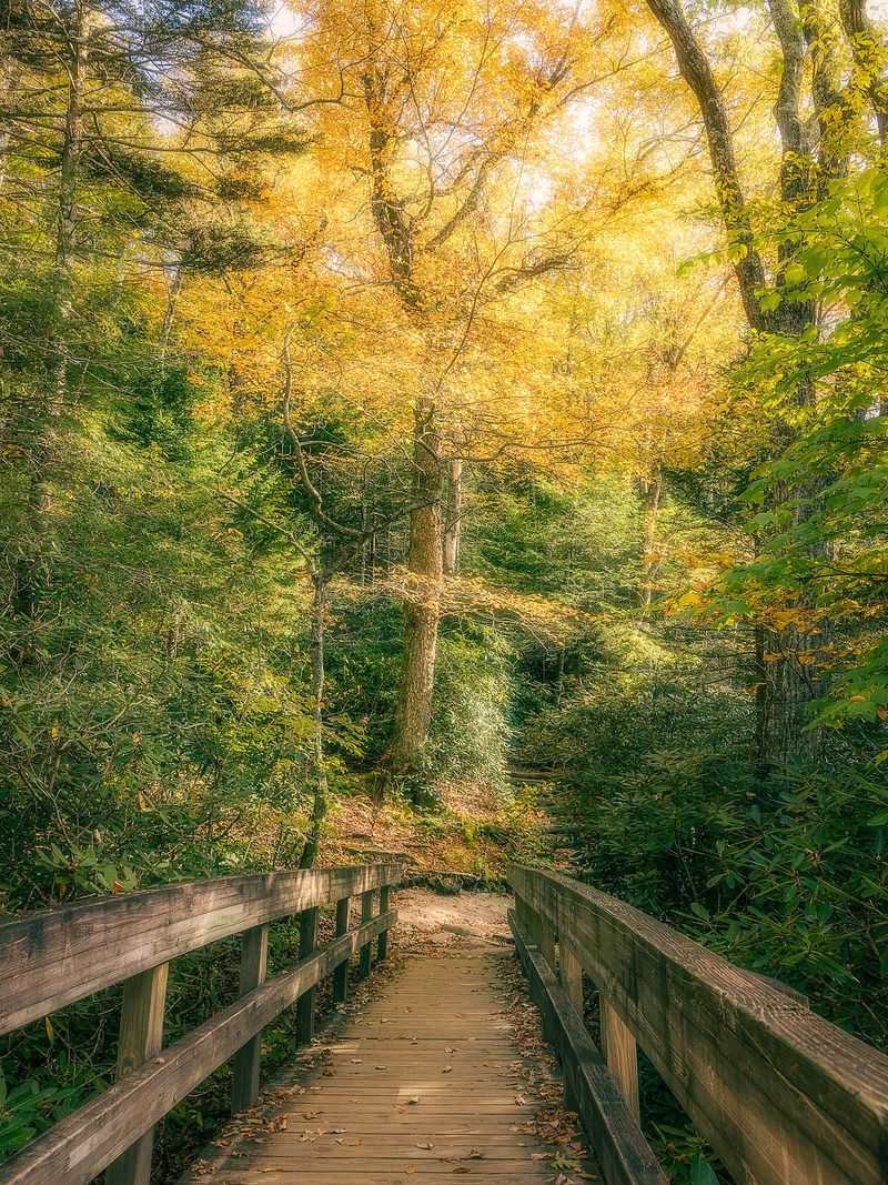 You're Actually Walking On A Famous Long-Distance Trail