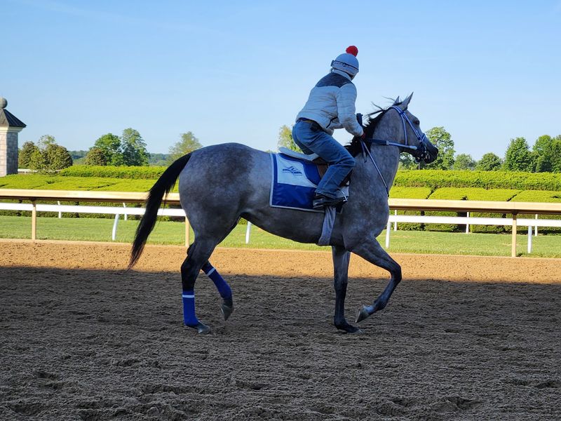 The World’s Best Racehorses Are Coming To Kentucky This Month, And You Can Watch Them In Person - Decor Hint Free Mornings At The Rail Might Be The Best Deal In Town