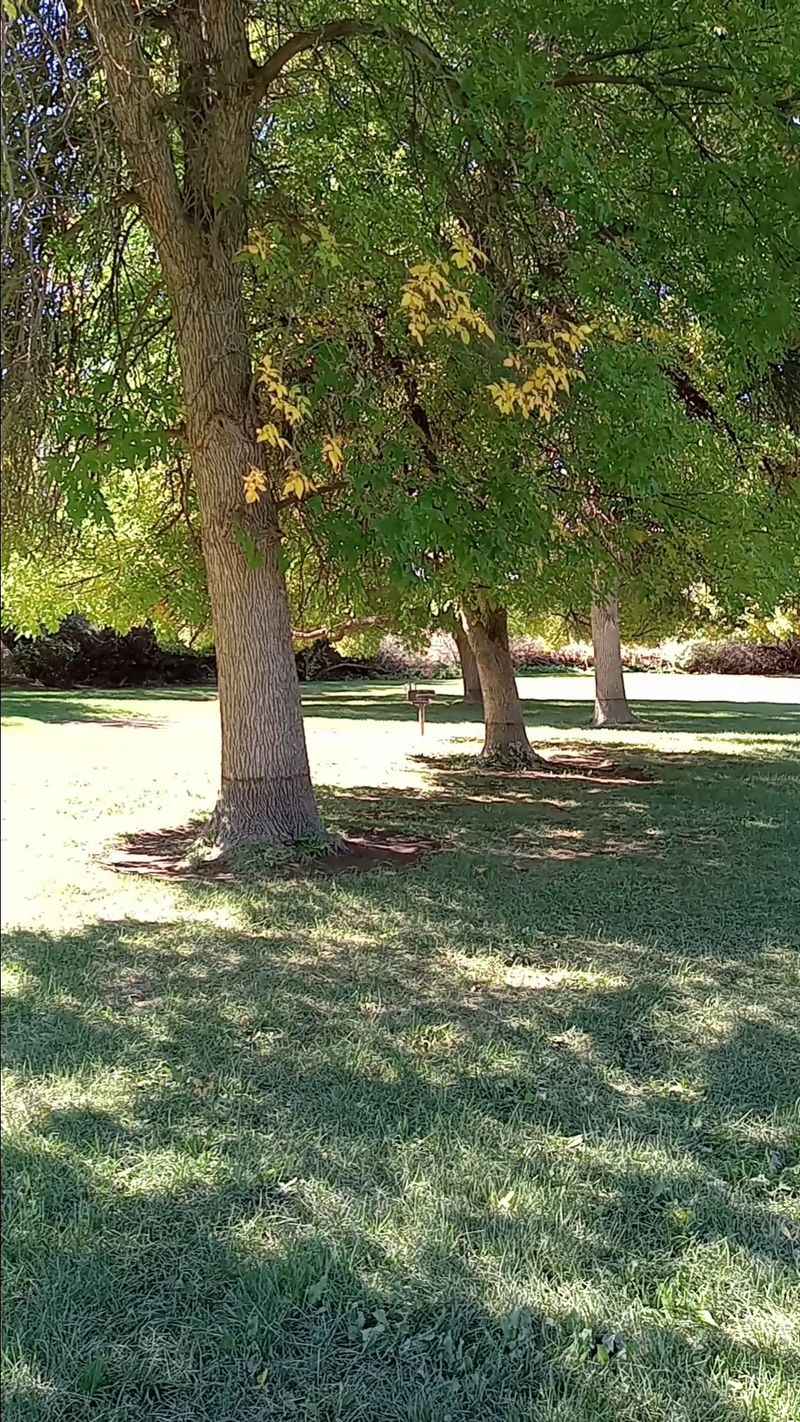 Green Grass, Picnic Tables, And Room To Breathe