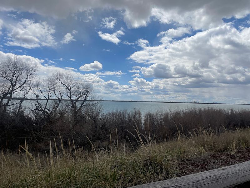 Why Migratory Birds By The Hundreds Stop At These 8 Idaho Wetlands - Decor Hint Mud Lake Wildlife Management Area - Idaho Fish and Game, Terreton, ID