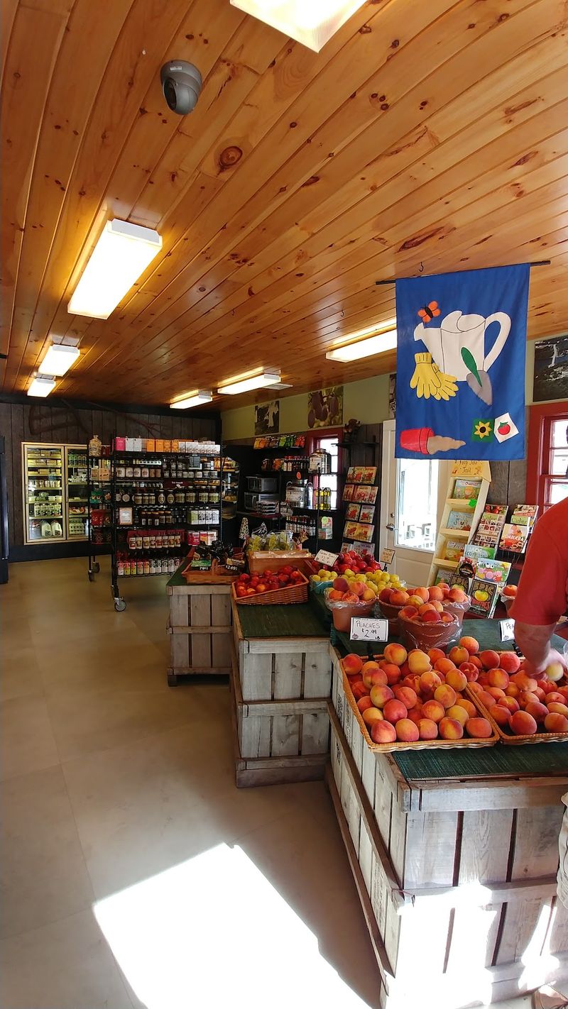 We Ranked The 9 Best Country Farm Markets In Connecticut And Here Are The Results - Decor Hint Holmberg Orchards, Gales Ferry