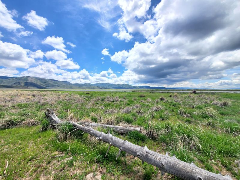Idaho Is Home To An Ice Age Floods Trail Where Giant Ripple Marks Span Whole Hillsides - Decor Hint Take The Smarter Road In And Park Like You Mean It