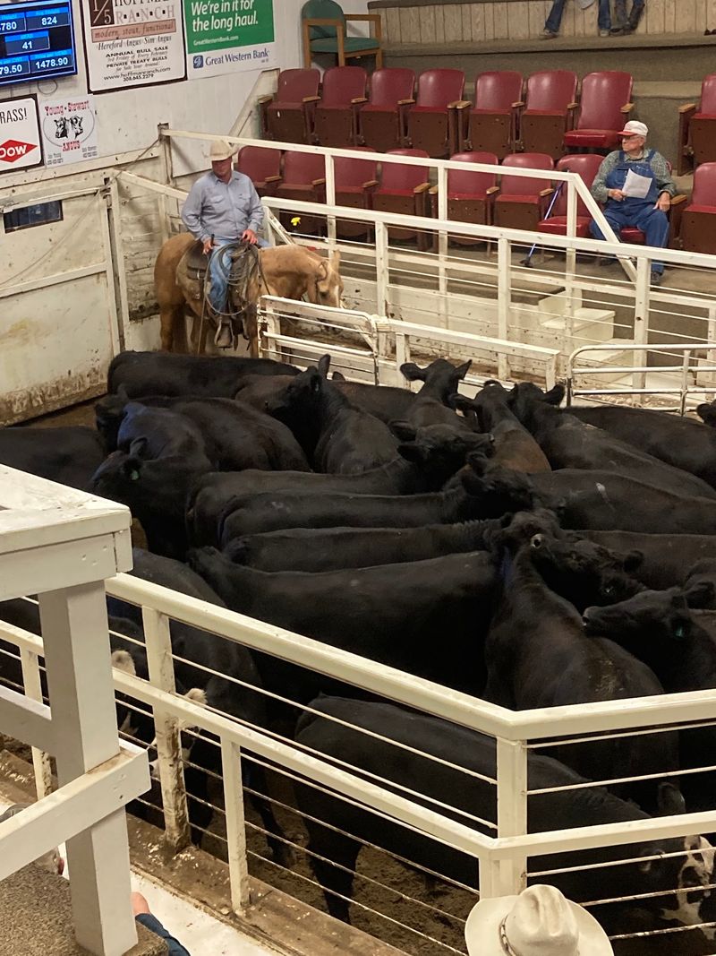 Since 1937 This Nebraska Sale Barn Cafe Has Fed Ranchers Hot Beef Sandwiches On Auction Day - Decor Hint A Working Sale Barn Where Rock County Cattle Change Hands