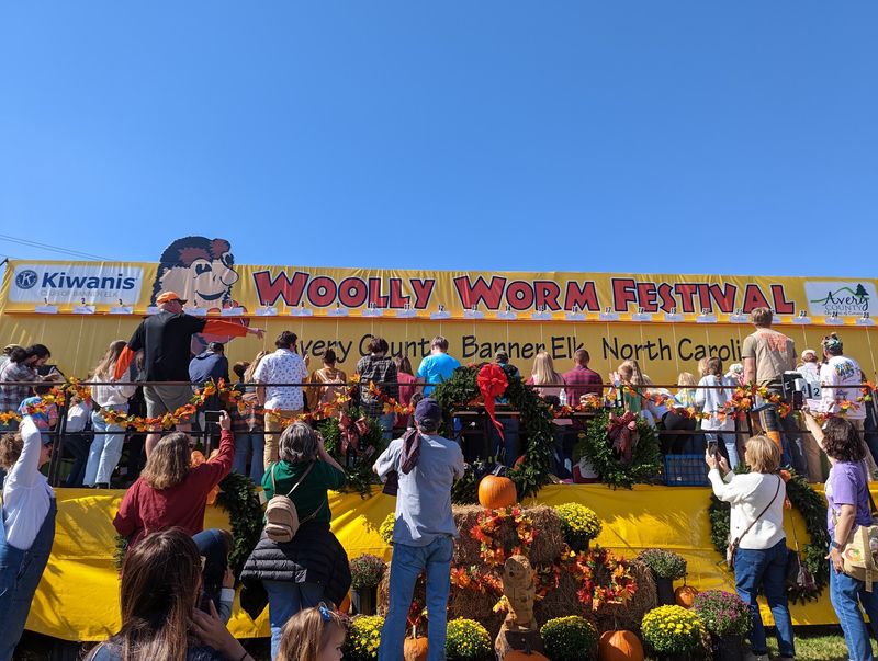 The Winning Woolly Worm Gets To Predict 13 Weeks Of Winter Weather